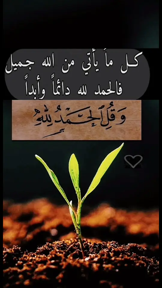 #خواطر 