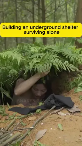 Nothing beats the peace of a night in the wild 🌲✨ #aesthetic #asmr #relaxing #survival #camping #cave #nature #foryou #viral #campinglife #campingtents #solocamping #intherain 
