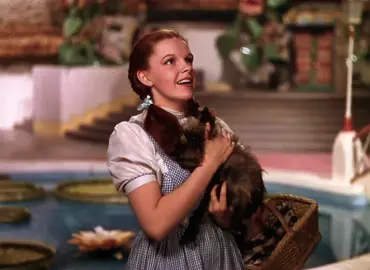 ꒰ #WIZARDOFOZ & #SCOOBYDOO ꒱ ▹ The parallels are so pretty. ᗢ   #thewizardofoz #wizardofozedit #scoobydooedit #wicked #wickedmovie #wickedforgood #wickedmusical #wickededit #wickedthemusical #judygarland #fredjones #fredjonesedit #daphneblake #daphneblakeedit #velmadinkley #velmadinkleyedit #shaggyrogers #shaggyrogersedit #mysteryinc #mysteryincorporated #thewizardofozedit #barbie #barbiegirl #aqua #wickedwitchofthewest #elphaba #elphabathropp #elphabathroppedit #glindathegoodwitch #glinda #galinda #glindaupland #glindauplandedit #galindaupland #galindauplandedit #fiyero #fiyerotigelaar #boq #boqwoodsman #jonathanbailey #jonathanbaileyedit #ethanslater #dorothygaleedit #jeffgoldblum #jeffgoldblumedit #jeffgoldblumtiktok #edit #edits #explorepage #fyp #fypシ #fypツ #explore #foryoupage #foryou #reels #f #trend #trending #viralvideo #viral #tiktok #recommendations #recommendation @Wicked: For Good 