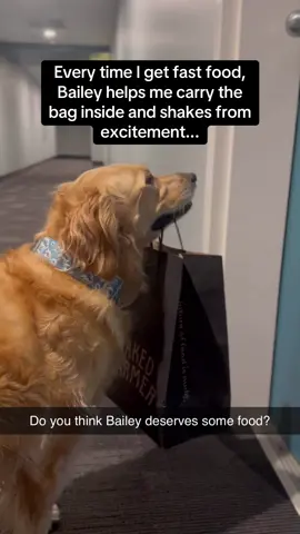 GIVE BAILEY SOME FOOD NOW 😭😭 #RoadTo19Million #Pubity  (Gregg H via ViralHog)