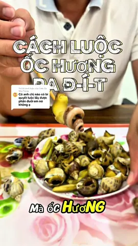 Trả lời @Cơm Gà Nha Trang cách luộc ốc hương ra Đ-Í-T đơn gian nhưng không ai biết #cachluocochuong #ochuong #xuhuongtiktok #ochuonganbinh 