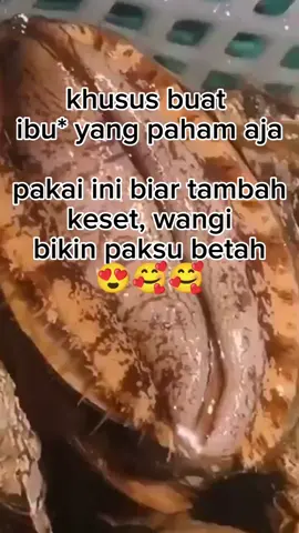 buat yang paham aja😍🥰 #fyp 