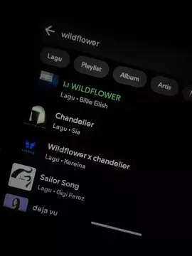 WILDFLOWER • Billie Eilish #lyrics #songs #wildflower #fyp  #foryou #musik #billieeilish 