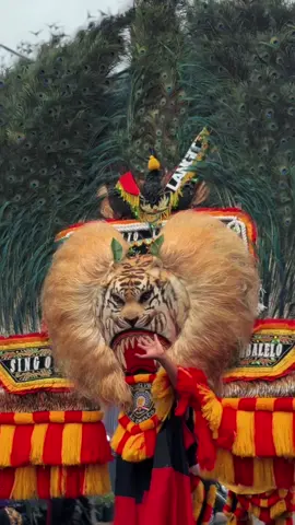 Endah tenan pasuryamu ki Dento  ~ SINGO MBALELO~ #genilangit #reogponorogo #pembarongnusantara #dadakmerakponorogo #CapCut            