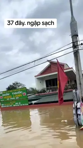 lâu lắm mới có trận lụt thế này