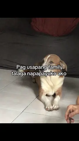 #fypシ #foryou #familyproblems 