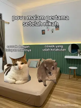 tkotnyeeeeee #memekucing #catmeme #memecat #kucinglucu #viral #fyp #4u #foryou #masukfyp #xybca 