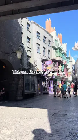 I mean come on😍😍😍#harrypotter #diagonalley #universalstudiosorlando #universalstudios #Love 