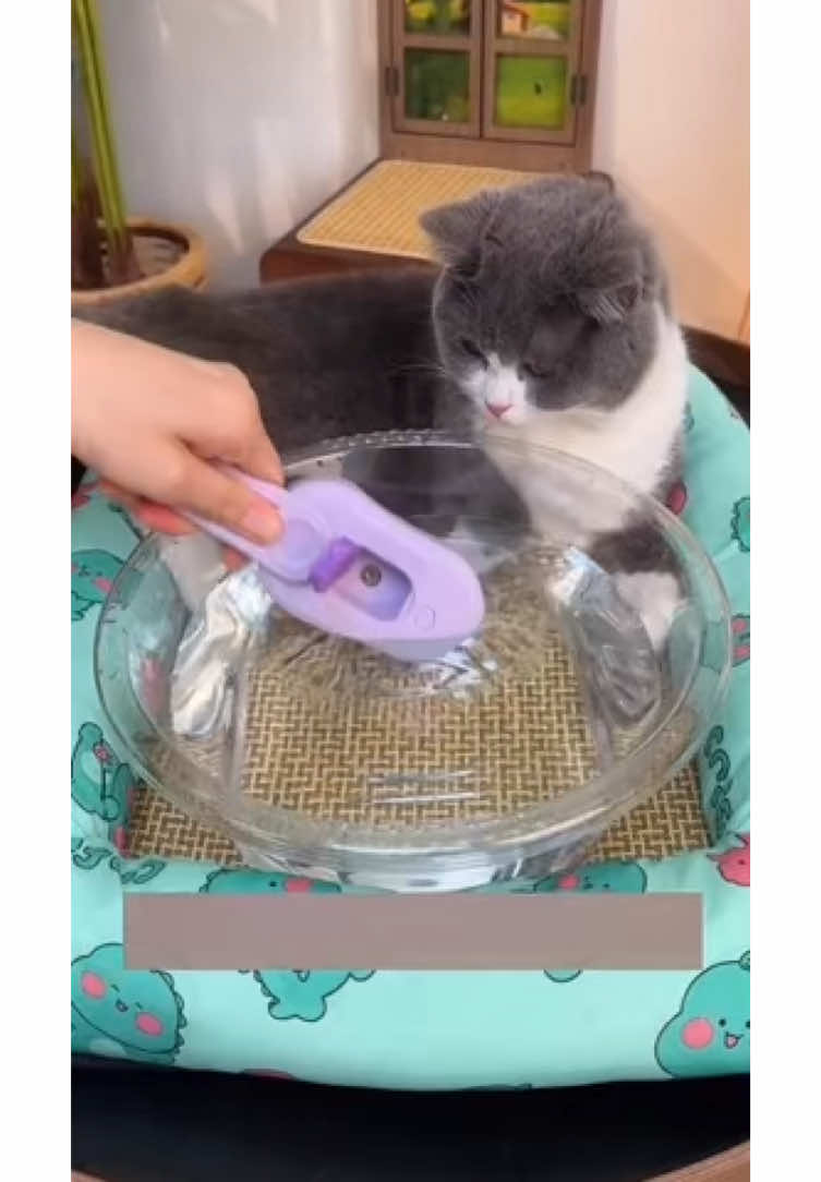 Con este peine de vapor, ¡ya no tendrás que preocuparte por el pelo de gato que sale volando por todas partes! Versión recargable, ¡reutilizable! Cabezal suave de silicona, el proceso de peinado es como un masaje, ¡para que los gatos estén cómodos y disfruten!
