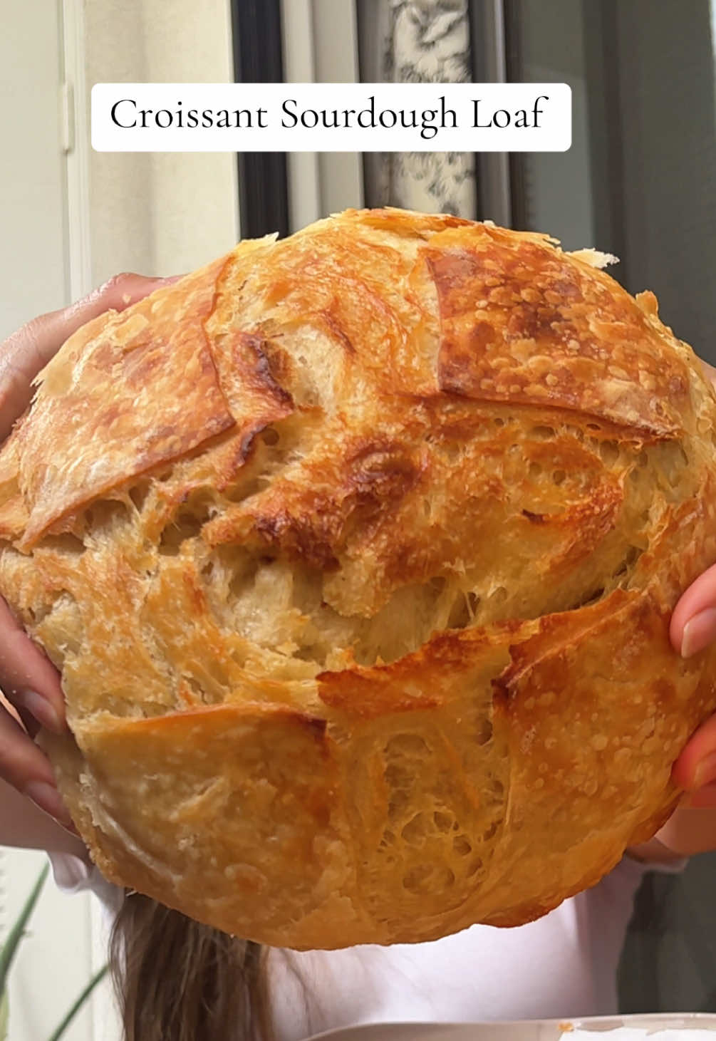 We made the viral buttered sourdough croissant bread!  ✨ new favorite recipe ✨  @@Amy Coyne | Sourdough Recipes⬅️ recipe from ##sourdough##sourdoughbread##breadtok##sourdoughtok##crossiant##discardrecipe##bakingrecipe##recipes##sourdoughrecipe##viral##viralrecipes