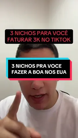 3 nichos para faturar mais de 3K nos Estados Unidos. #nichos #ganhardinheiro #redfinger #faturando 