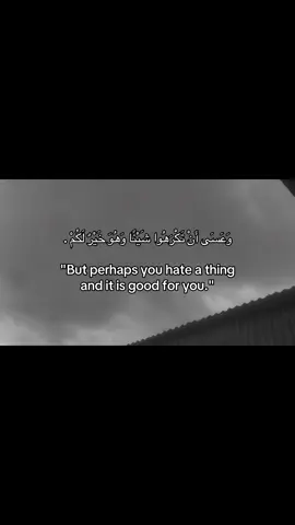 #fyp #foryou #اكسبلور #هاشتاق #video #frpシ #الحمدالله 