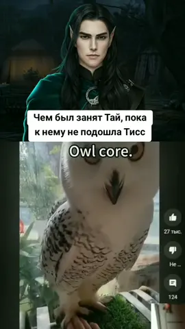 Ходил сов считал (У одного ежики, у второго совы...) #сог #клубромантики #сагаогрозах #romanceclub #клуб_романтики #кр 