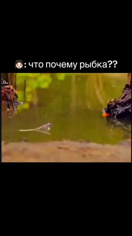 #рекомендации #мем #тренды #fyp #врекомендации #прикол #любовь❤️ #отношения 
