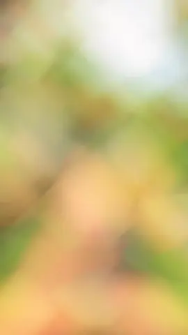 #islamic_video #viral #trending #foryou #fyp #fyppppppppppppppppppppppp #সবাই_একটু_সাপোর্ট_করবেন_প্লিজ 
