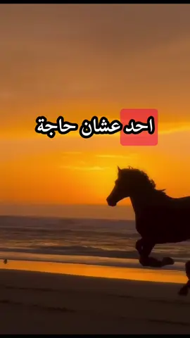 #أكسبلور_شعر_حكم_خواطر 