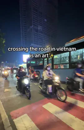 If you can‘t beat them join them🤪 #vietnam #crossroads #traveltiktok #travel #backpacking #weltreise #foryou 
