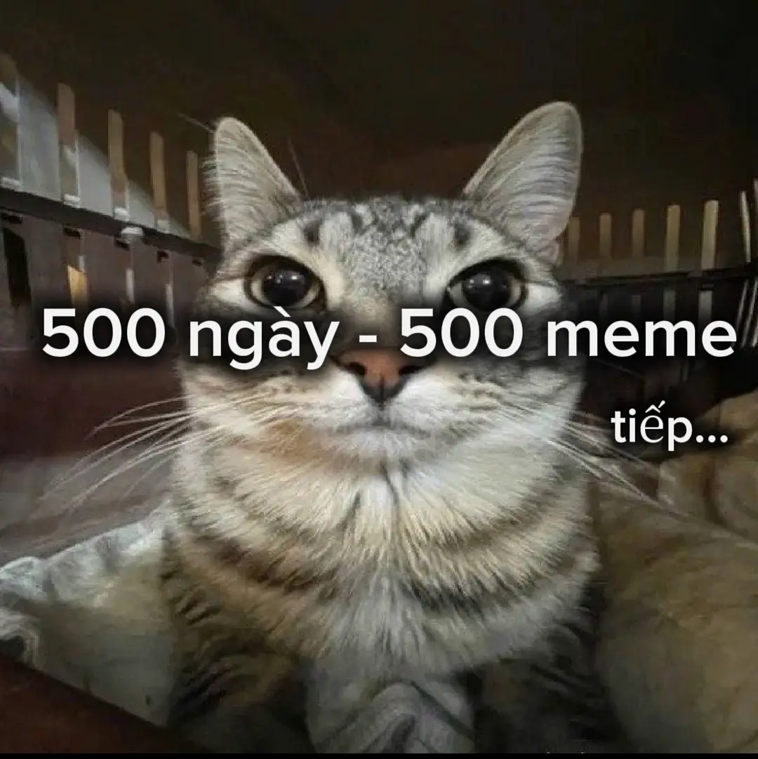 #xhuong #memefunnyvideo #xh #memes 