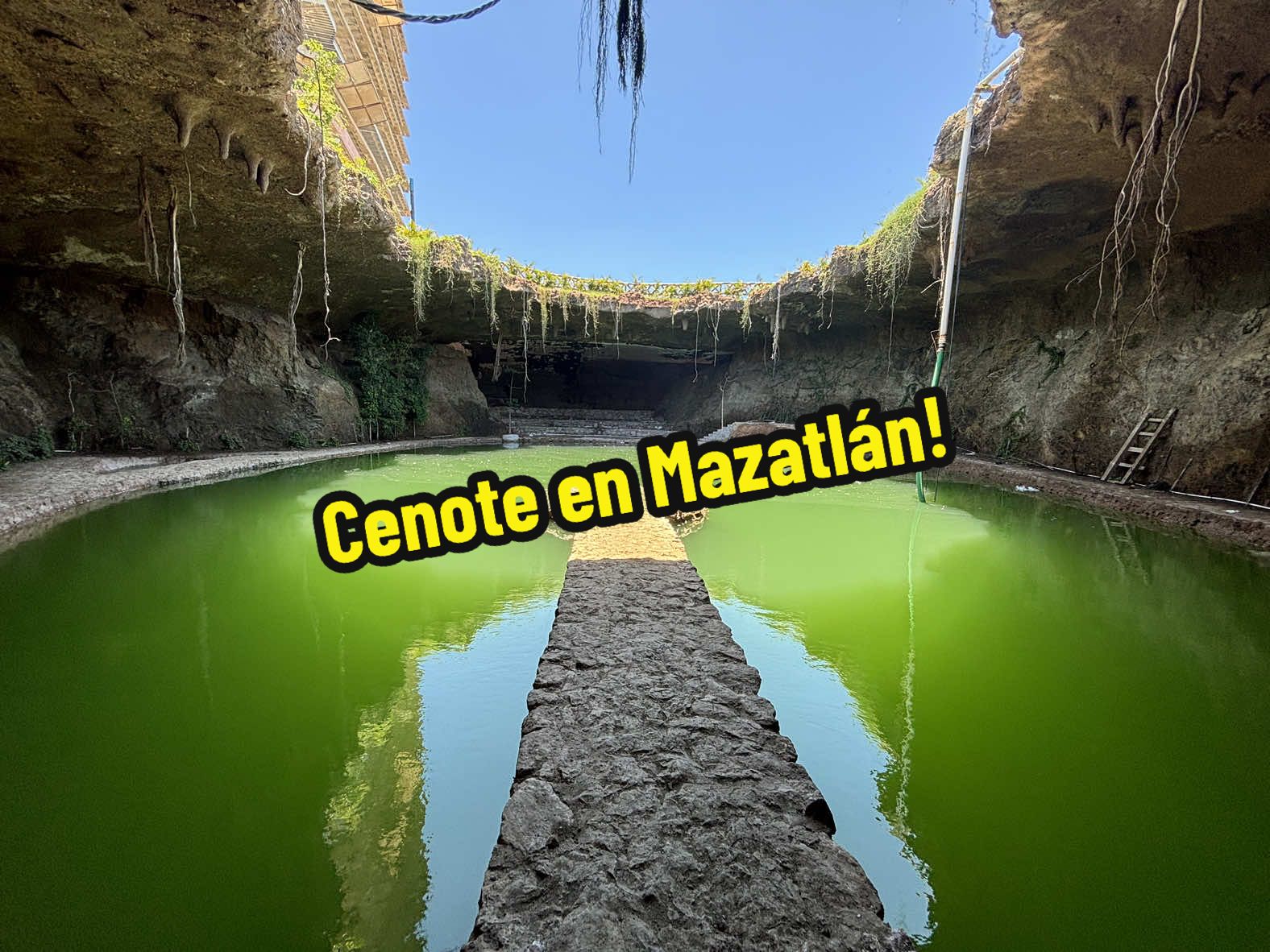 🌿🦖 ¿Sabías que en Mazatlán estará el primer parque ecoturístico del norte de México? 😱 Prepárate para conocer TORAM, un parque único que une naturaleza, cultura e innovación. 📍 Ubicado en Mazatlán, Sinaloa, este proyecto contará con: ✨ Dinosaurios eléctricos ✨ Réplicas monumentales de esculturas Totorames ✨ El cenote artificial más grande de Sinaloa ✨ Museo interactivo ✨ Actividades culturales y recreativas para toda la familia Y lo mejor... ¡tú puedes invertir desde ahora! 🔑 Hay 3 formas de inversión disponibles con financiamiento directo hasta por 7 años. 📝✅ 🎯 Ideal para inversionistas, emprendedores o familias que buscan dejar huella en un proyecto único en su tipo. 📲 Agenda una videollamada o un recorrido y conoce todo lo que TORAM tiene para ti. 🌟 Sé parte del futuro turístico y cultural de Mazatlán. Karely Rojas Tu asesora inmobiliaria 🌸 #TORAM #Mazatlán #ParqueEcoturístico #InversiónInteligente #Dinosaurios #CulturaTotorame #Cenote #AventuraEnMazatlán #ProyectoÚnico #OportunidadDeInversión #TurismoSustentable #InvierteConVisión 🌋🏞️