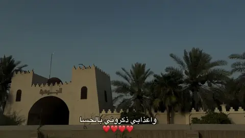#الاحساء #alahsa #نخيل #🌴 
