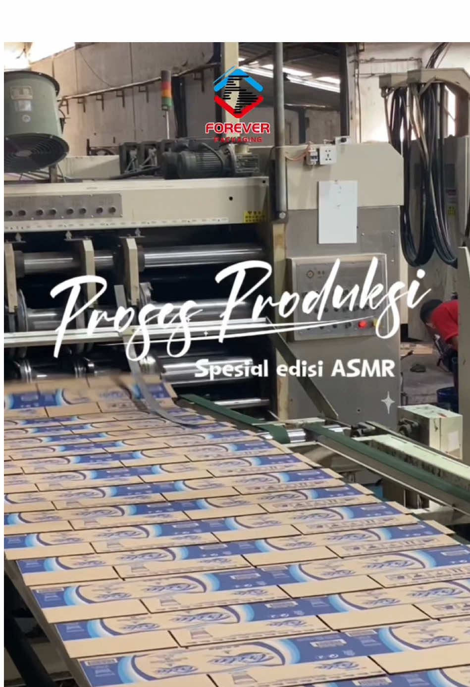 Gimana sih suara mesin ketika proses produksi karton? Shttt kali ini spesial ASMR proses produksi 🤫 #packaging #cartonbox #carton #kemasan #pabrik #factory #produksi #ASMR