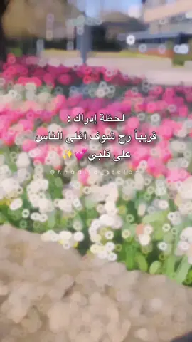 ✨️💕🥹......#ناطر_ناطر_جيتهم🥺❤️ #خالتو #يا_مية_هلا_رجعت_لصدري_الرّوح😊💚 #سفر #سوريا #نورتون #المصممه_خديجة_صطيفان #مجٍهـوُلُِة🖤🎻 #خالتي #نورتي
