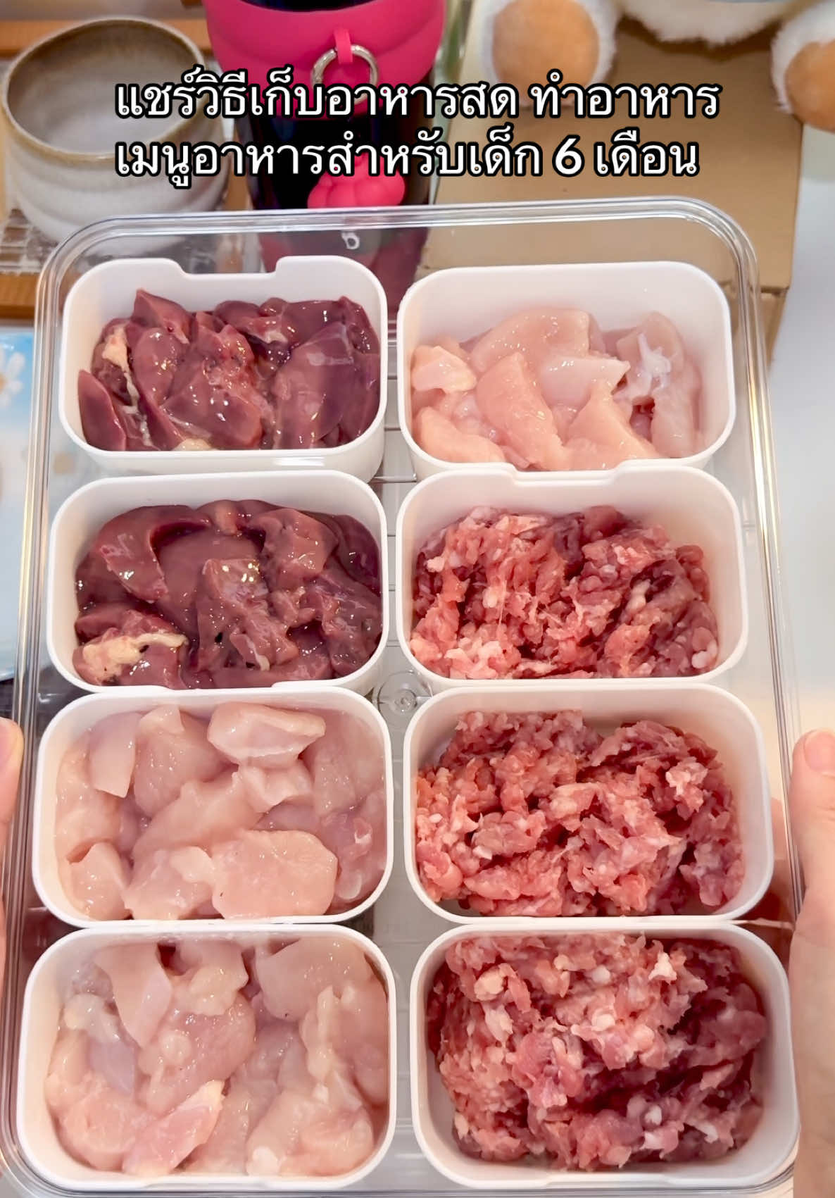 แชร์วิธีเก็บอาหารสด ทำอาหาร เมนูอาหารสำหรับเด็ก 6 เดือน #เก็บอาหารสด #กล่องเก็บอาหาร #กล่องเก็บอาหารเด็ก #ทํากับข้าวให้ลูก #อาหารเด็ก7เดือน #อาหารเด็ก #อาหารเด็ก6เดือน #อาหารเพิ่มน้ําหนักตัวลูก #ตัวช่วยเพิ่มน้ําหนักลูกตกเกณณ์ดีมาก #ลูก #แม่และเด็ก #แม่และลูก #โฟร์เอ💙 #ดีบอกต่อ #แชร์ 