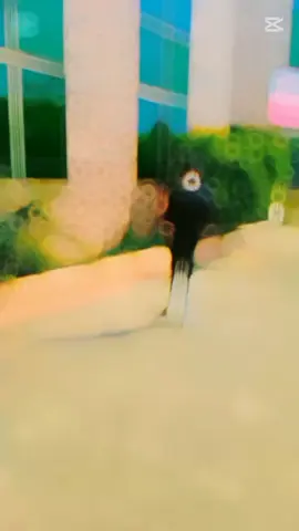 🧐🧐🧐