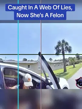 Caught In A Web Of Lies, Now She's A Felon #police #cops 
