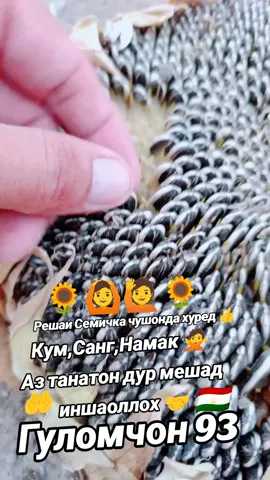 Решаи Семичка 🌻🙅🤲🇹🇯