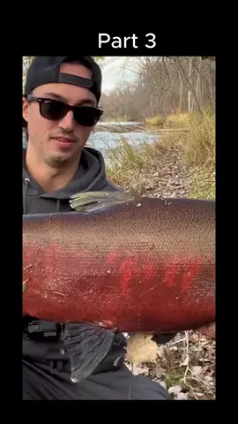 #fishing #funny #entertainment #funny #ishing 