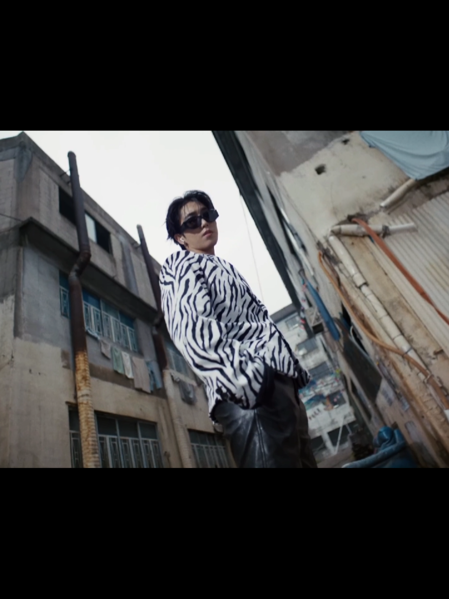he doesn't have to be good with kids all he needs is a zebra print coat😻 #hanjisung #han #karma #skzcomeback #straykids #skz #fyp #elshuc 