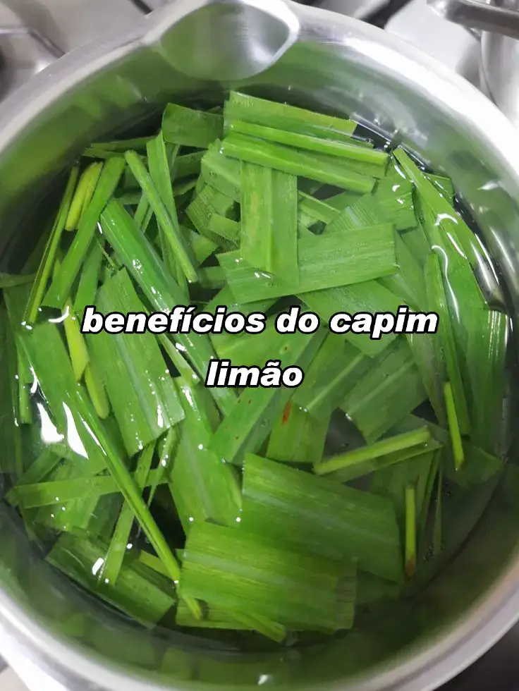Benefícios do capim-limão ou capim santo  🍵 Receita simples de chá de capim-limão: Ingredientes: 1 colher de sopa de capim-limão fresco (ou 1 sachê seco) 1 xícara de água Modo de preparo: 1. Ferva a água. 2. Desligue o fogo e adicione o capim-limão. 3. Tampe e deixe em infusão por 5 a 10 minutos. 4. Coe e beba morno. Pode adoçar com mel, se quiser. --- ⚠️ Contraindicações: Gestantes e pessoas com pressão muito baixa devem consumir com moderação. Sempre converse com um profissional de saúde antes de usar como tratamento. @Benefícios #bemestar #saudavel #beneficios #saude #capimlimao #chá 