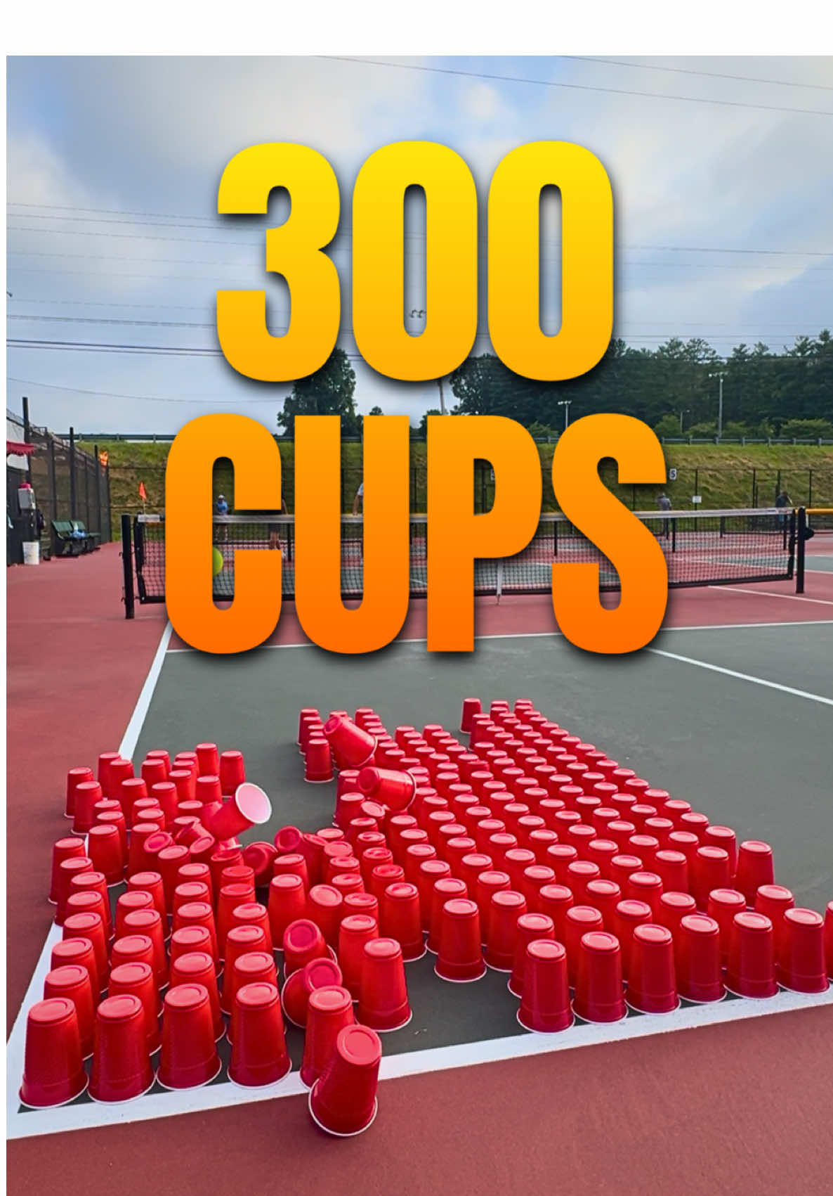 300 Cups #pickleball 