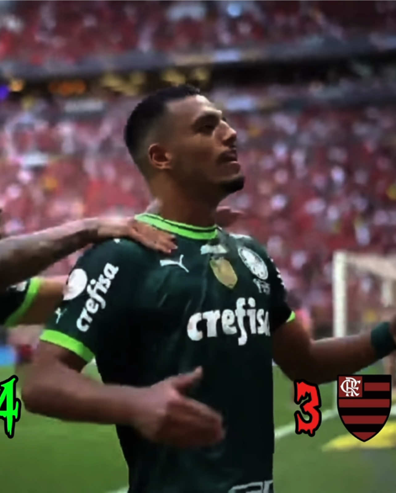 Maior final da historia BR!☠️ #flamengo #palmeiras #foryo 