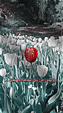 🙂🙂  . . . #تصميم_فيديوهات🎶🎤🎬 #مصممين_فيديوهات♥🎬🎶 #عباراتكم_الفخمه📿📌 #مجرد_ذووقツ🖤🎼 