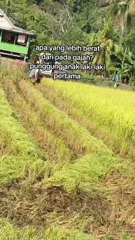 abaikan tangannya😅🙏@𝙋𝙚𝙧𝙙𝙮 𝙋𝙧𝙖𝙩𝙖𝙢𝙖 @akbarbolang #masukberandafyp #storybugis #storywa #kulisawah#maxxi #calonoperator #fyp #makssarbugis #maxxibimocombine #