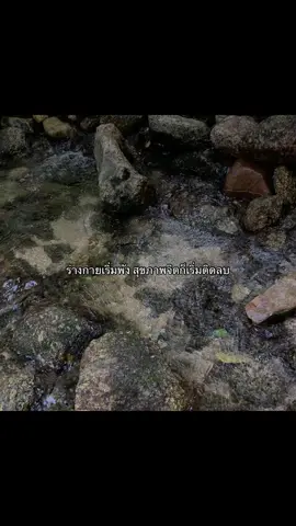 #fyppppppppppppppppppppppp #เธรด #ฟีดที #เทรนด์วันนี้ #เทรนด์วันนี้พรุ่งนี้ตลอดไป 
