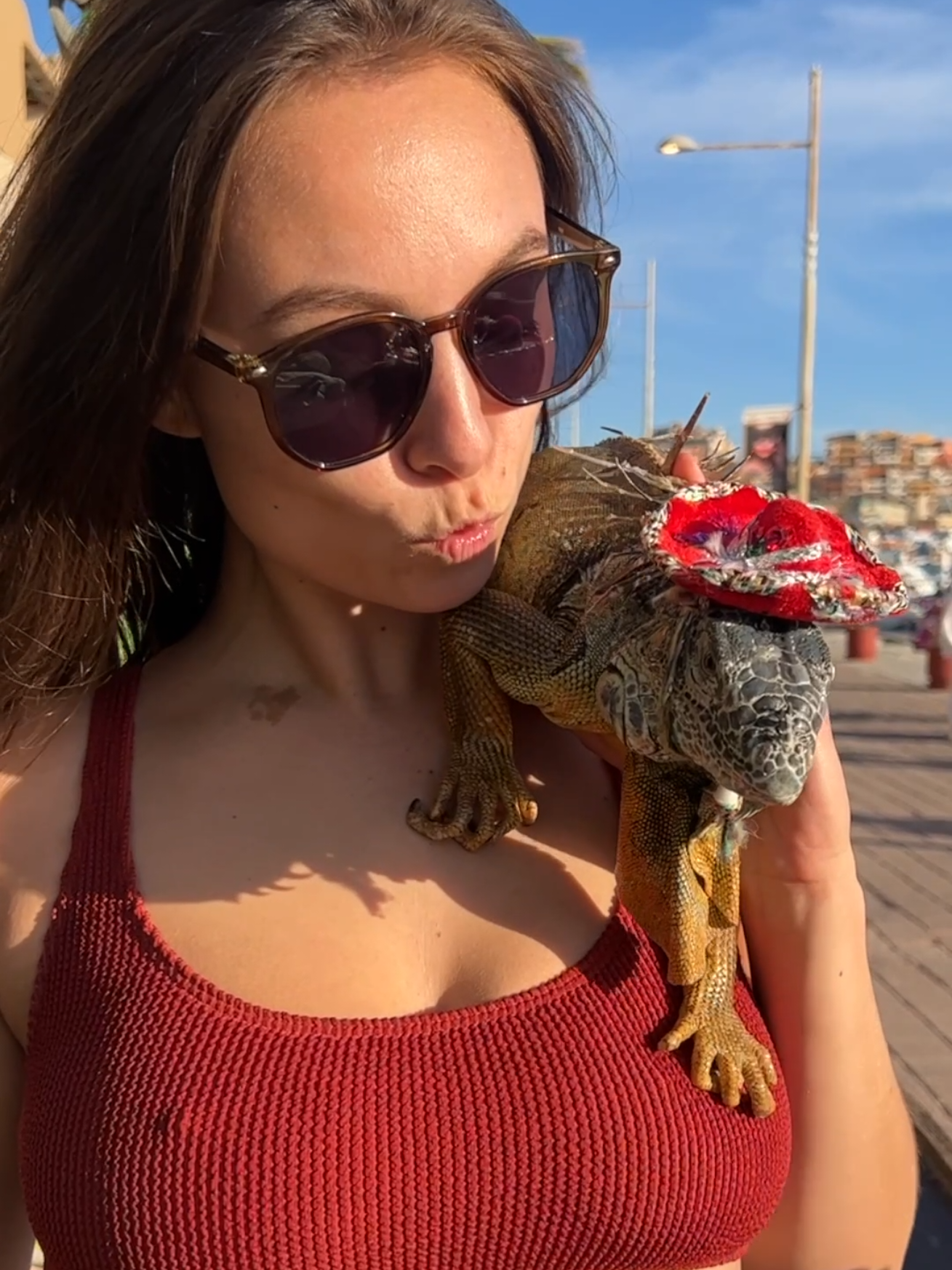Made a friend 😝 #iguana #fyp 
