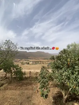 #algeria #fyp #explore #الشعب_الصيني_ماله_حل😂😂 #paratiiiiiiiiiiiiiiiiiiiiiiiiiiiiiii #pourtoi #oran #tlemcen 