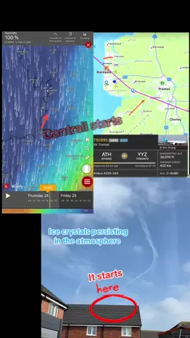 Track flights easily, look at what is above you.  #fyp #foryoupage #pilotlife 
