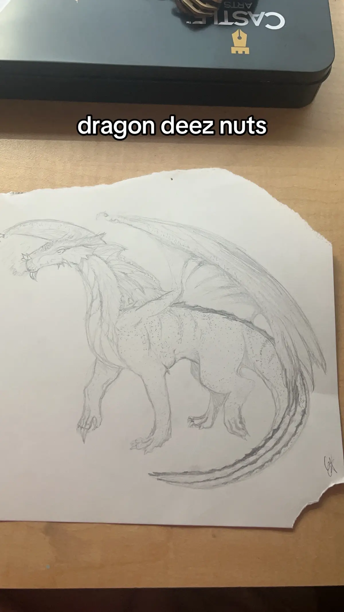 #dragon #traditionalart #tradart 