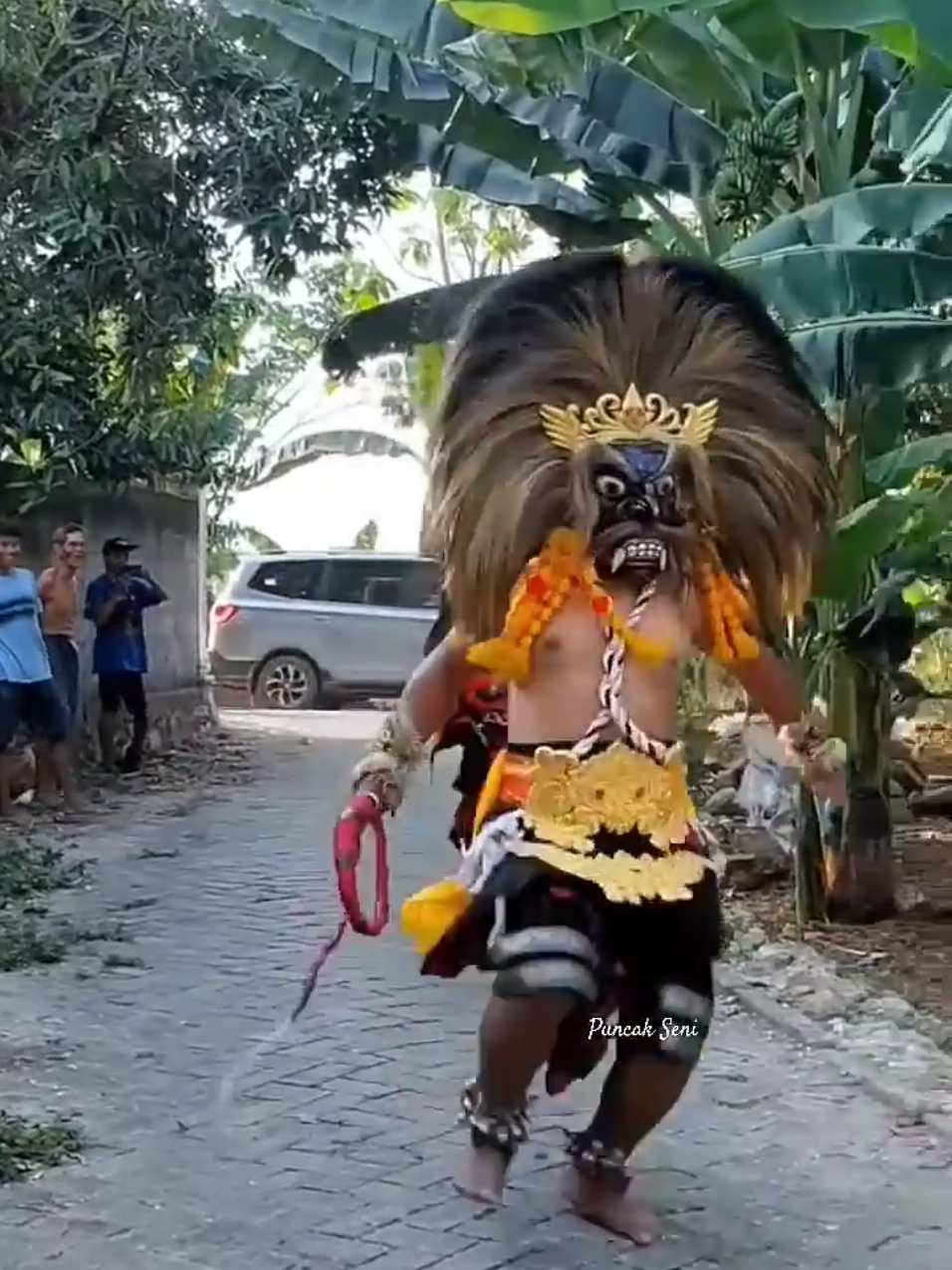 BERMAIN MAIN DENGAN BARONGAN #budayajawa #barongandevil #jaranantiktok #barongan #baronganngamuk #barongangalak 