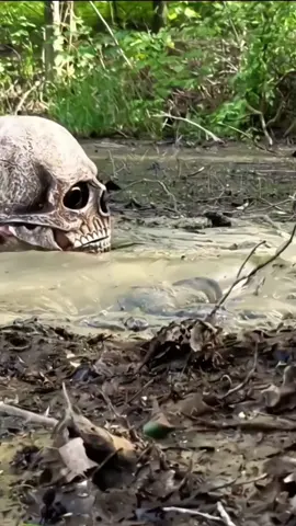 bogjump vs muddy water which challenge you choose?#mudwater #bog #challange #swamp #foryou #foryoupage#bogjumping #quicksand #mud #tiktokchallange #bogtok #extreme 