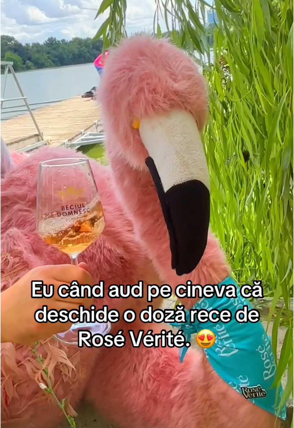 Sharing is caring sau ceva, nu? 🤔 #365deziledevara #LaVidaEnRose #funny #romania #cheers #vara #fyp 