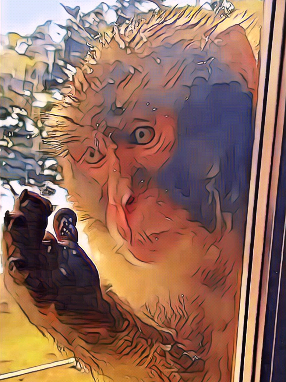 ROBBERTO - Quando ti dimentichi le chiavi 🐒 #ziojohnny #doppiaggio #animali #roma #scimmia 