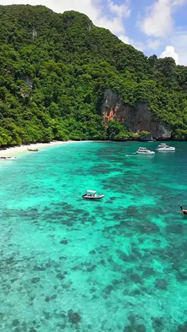 🇹🇭 Любимый россиянами Таиланд оказался рядом с горячей точкой — на границе с Камбоджей идут бои. Рассказываем подробнее, что там происходит и можно ли сейчас ехать на отдых. #таиланд #камбоджа