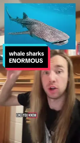 Did you know this?? - #science #paleontology #fish #ocean #whale #masiakasaurus #dinosaurs #paleontology #biology #funfacts #nature #animals 