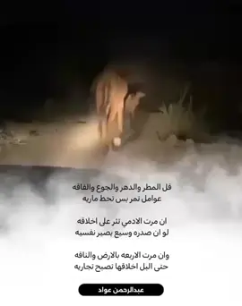 #capcut #explore #حركة_إكسبلور #المملكه_العربيه_السعوديه #الطائف #الهجن #الابل #إكسبلور #explore 