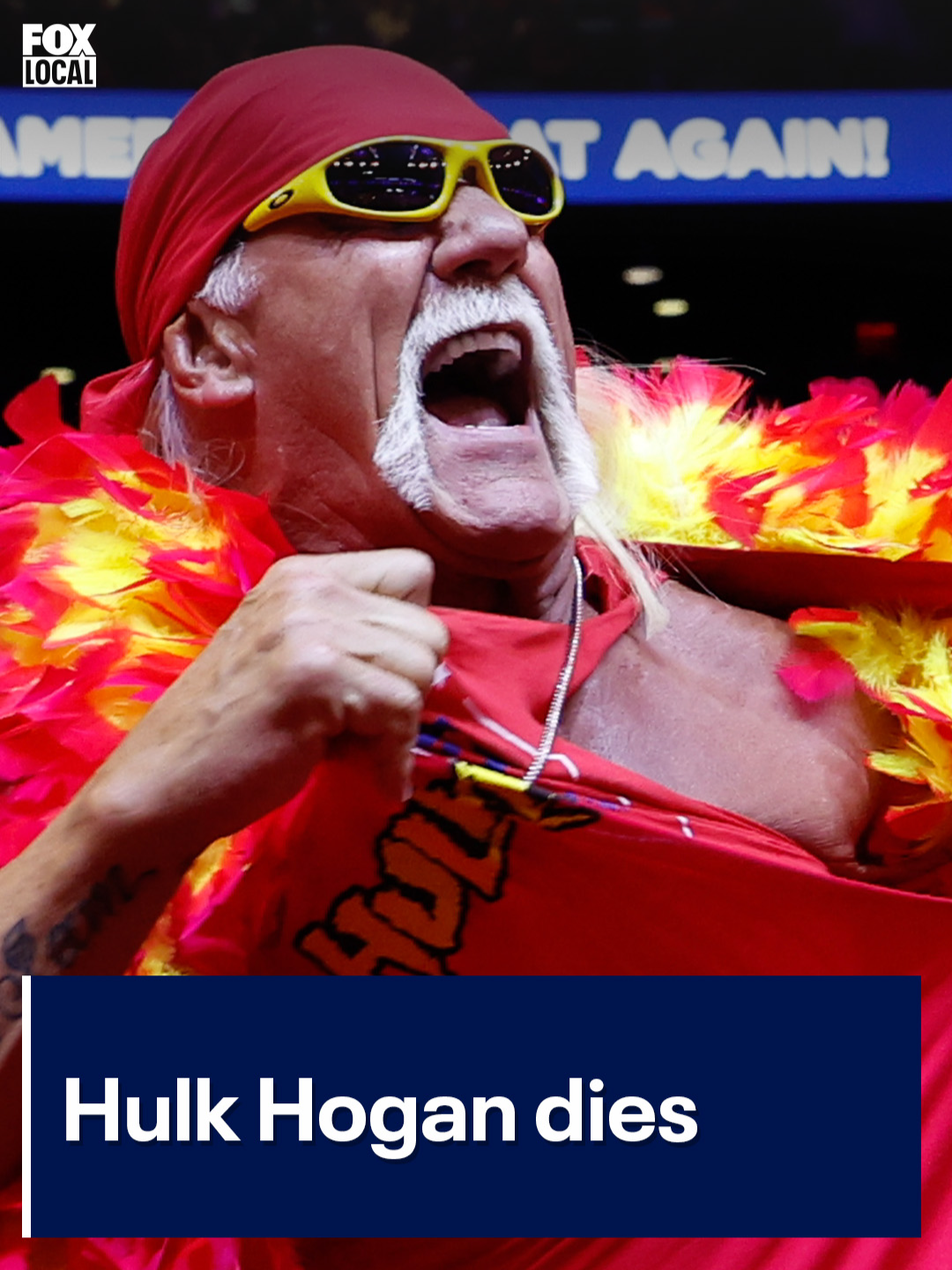 Hulk Hogan, one of the most popular professional wrestlers of all time, has died, according to WWE. Hogan, whose real name is Terry Gene Bollea, was 71. Click the link in our bio for more on this story. #hulkhogan #WWE #wrestling #fox10phoenix